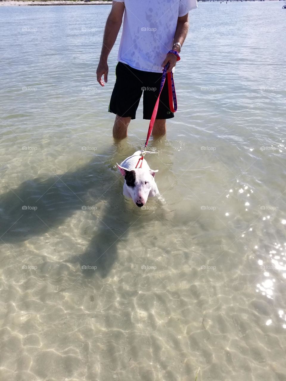 Walking at the beach