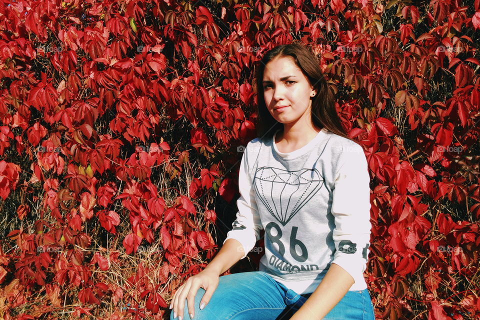 young beautiful girl on a background of red autumn leaves