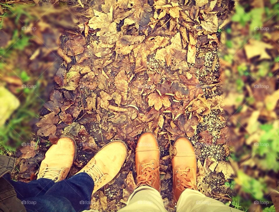 fall  walk