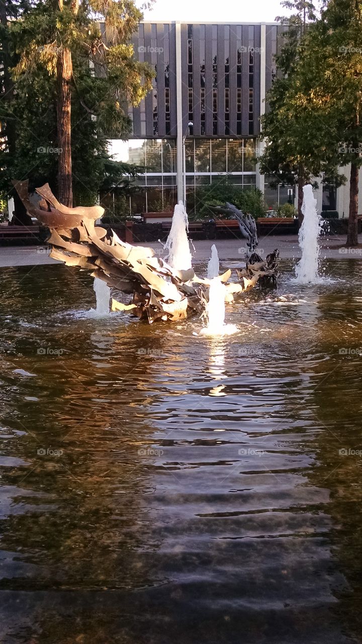 Eugene city fountain sunset capture