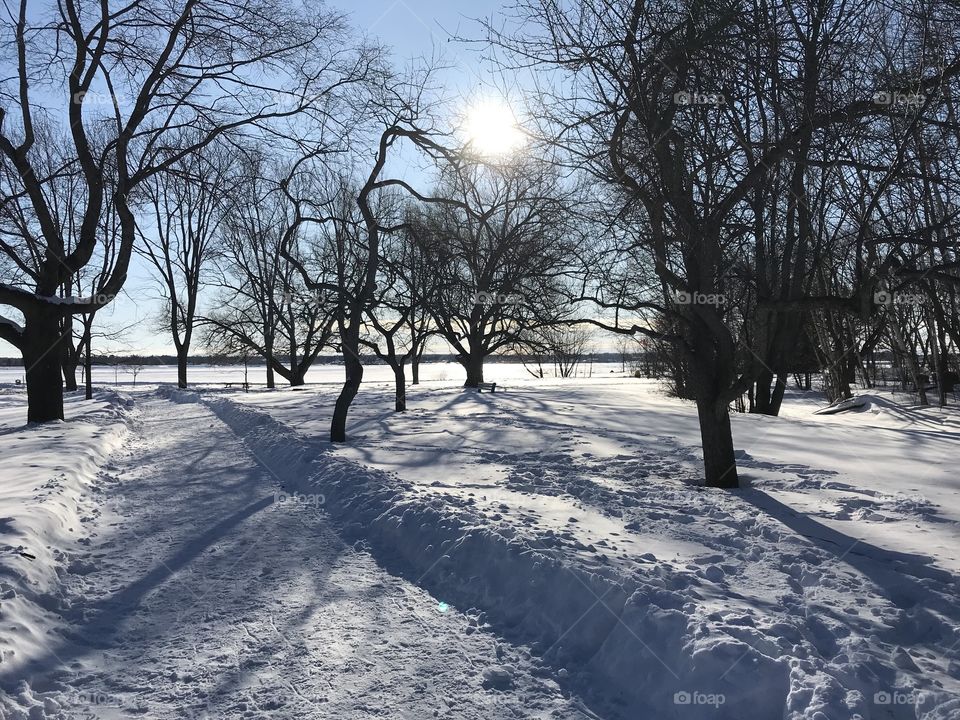 Snow covered path through the park on a sunny day