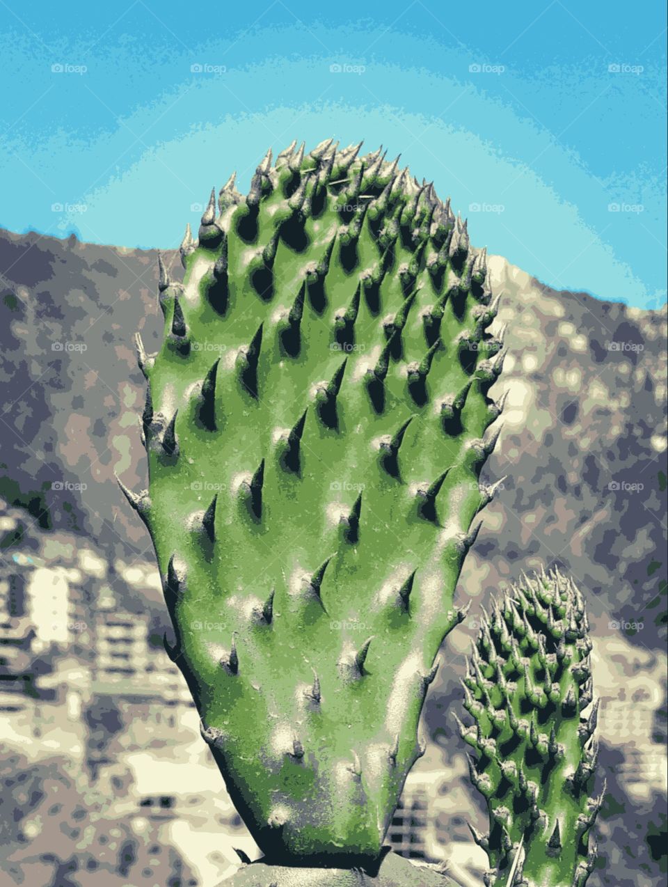 cactus on the earth