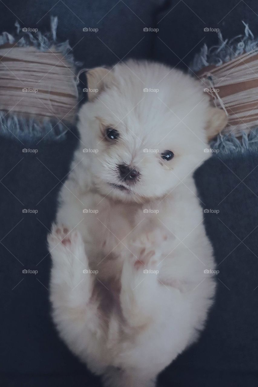 This adorable little lovebug says hello!