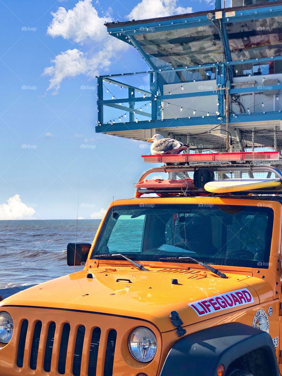 Foap Mission it’s Summertime! Lifeguard Jeep n the Pier With Surfboards and a Seagull!