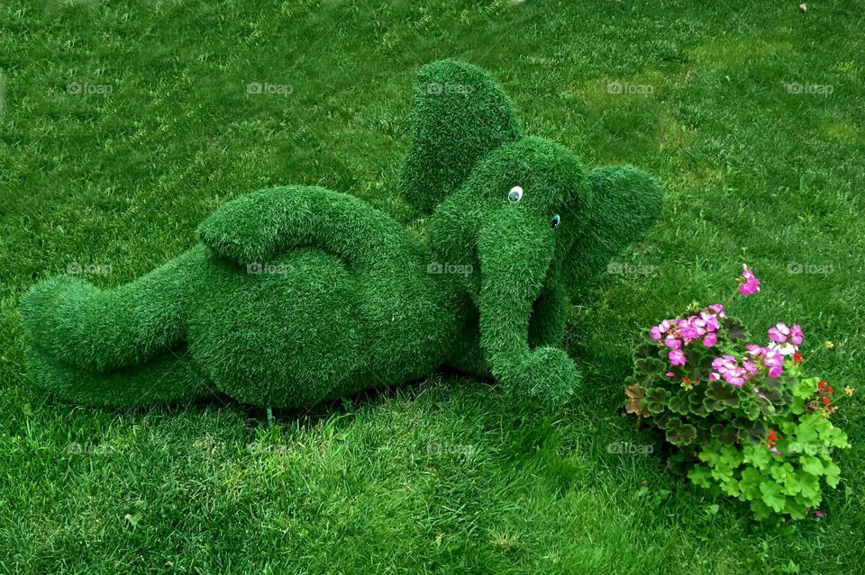 Зелёный слоник