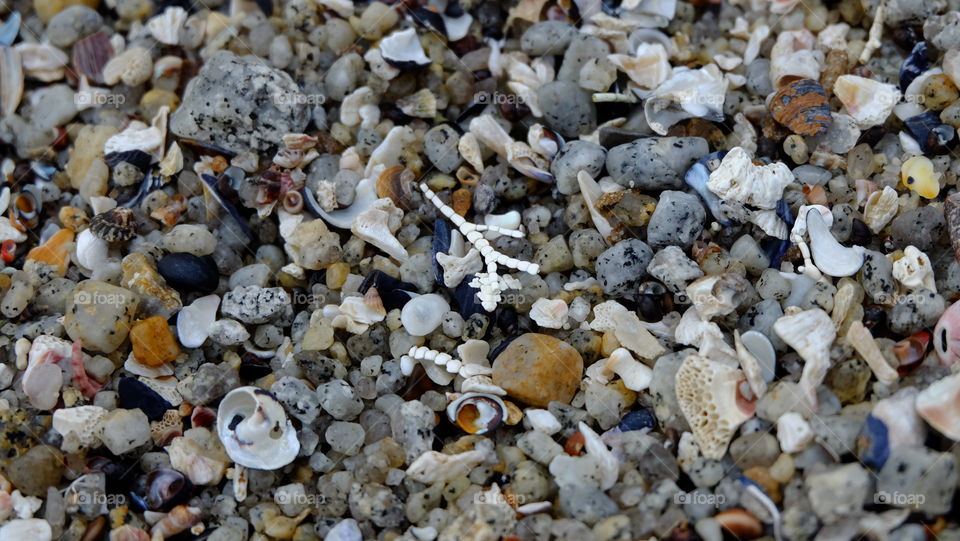 Texture of a beach