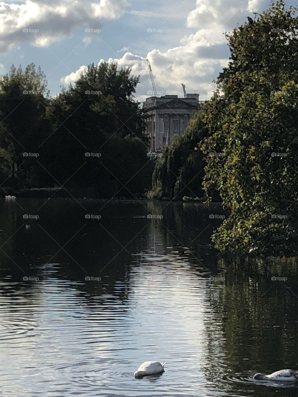 A corner view of Buckingham Palace from the nearby St. James Garden on a lovely and verdant fall day. 