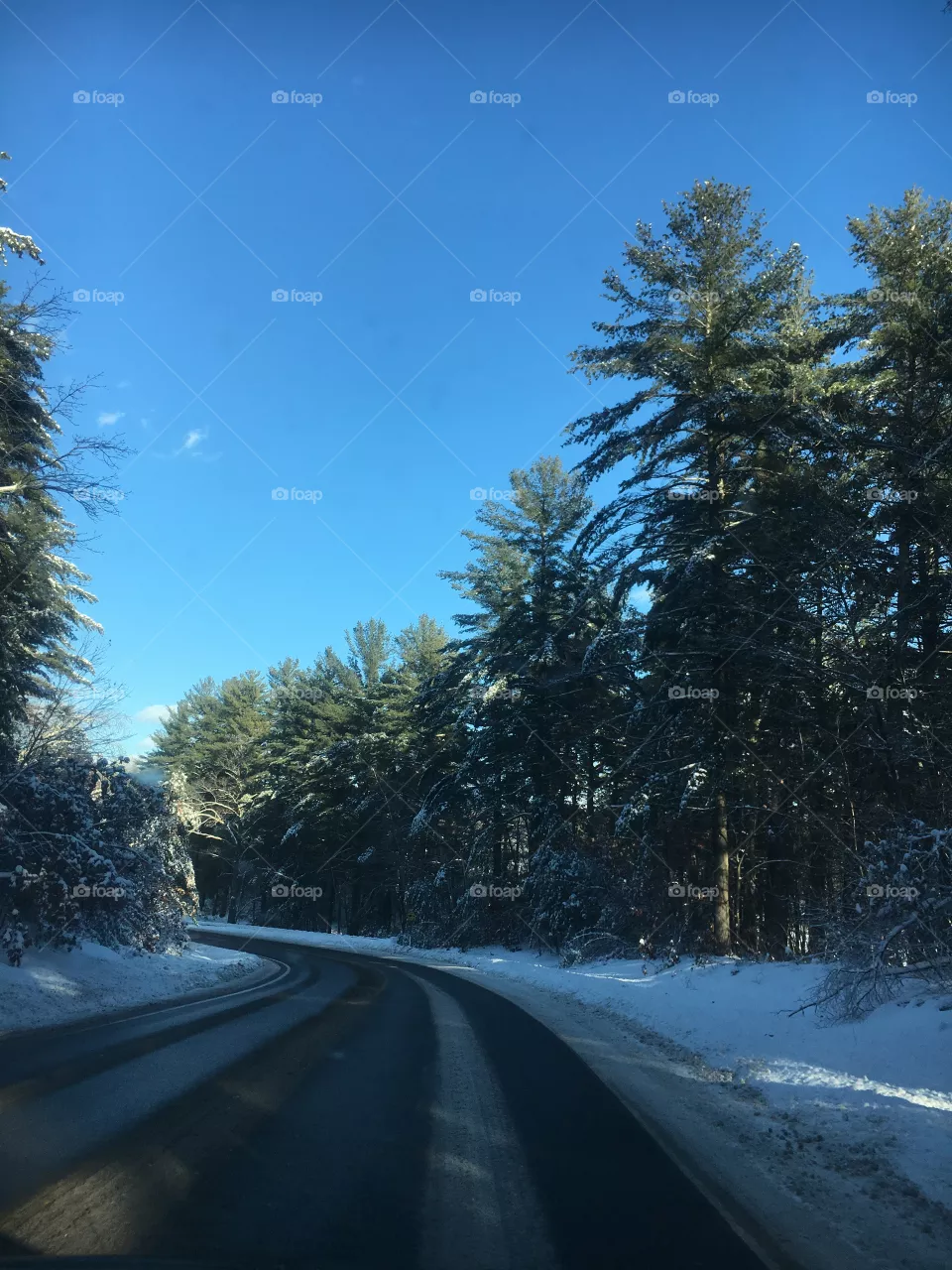 Winter 