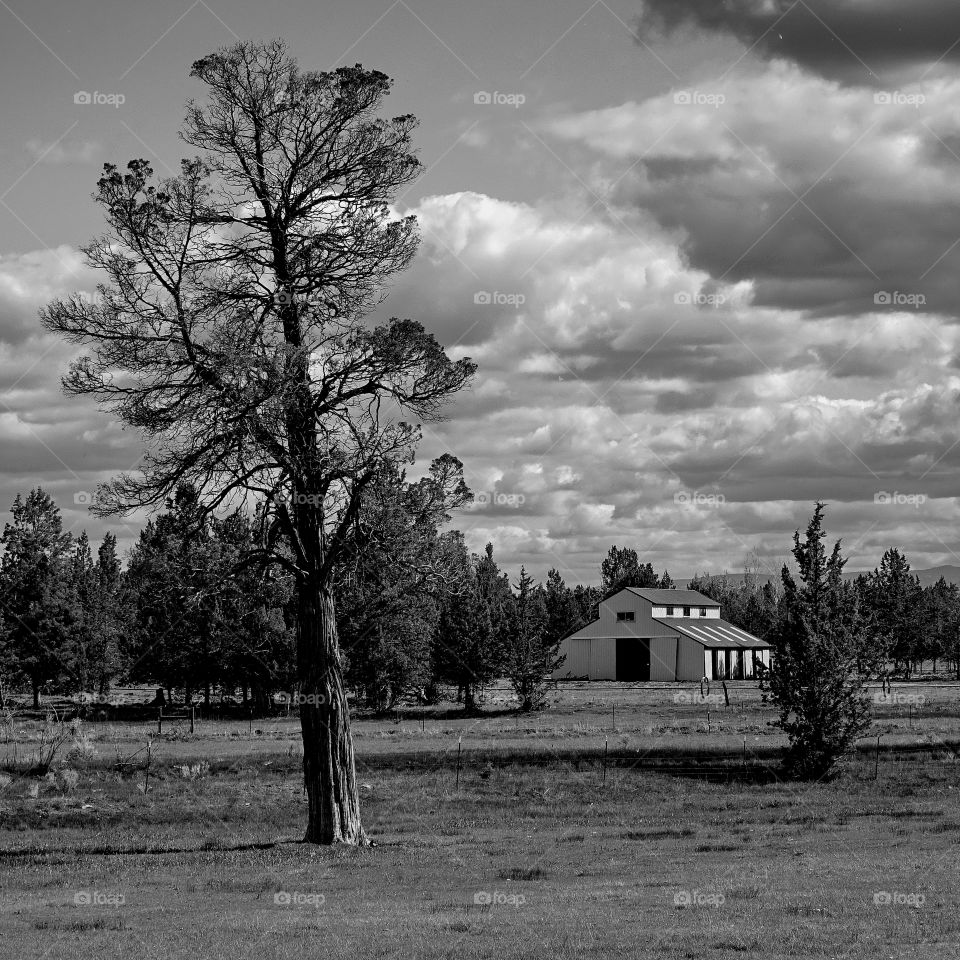 Distant view of barn