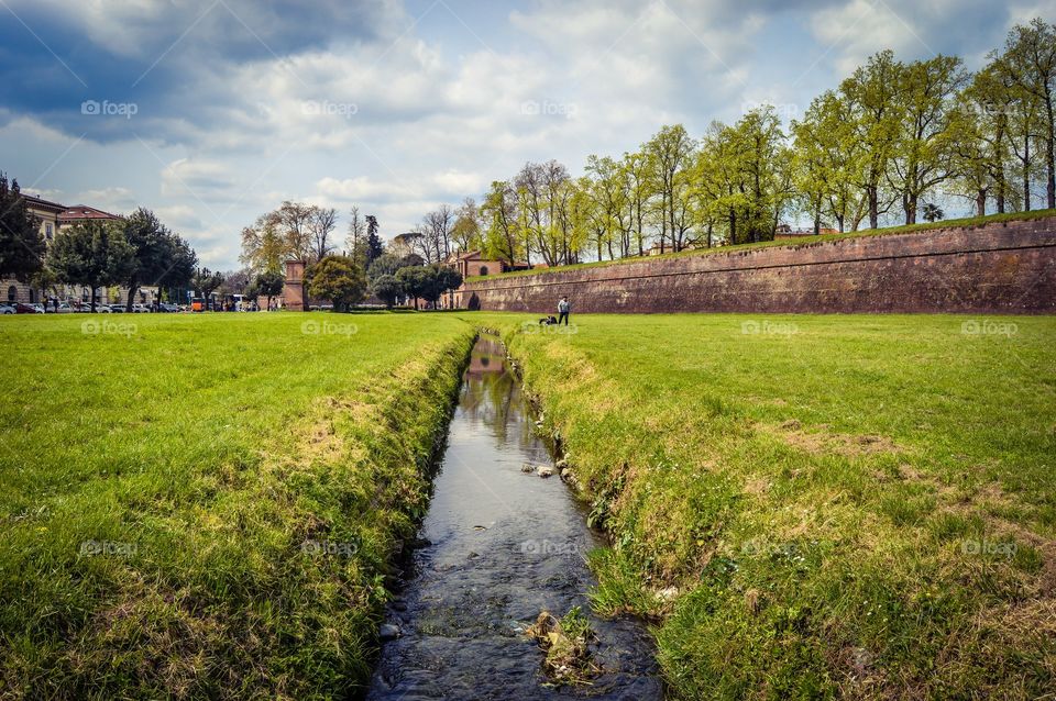 Scenics view of grassy field