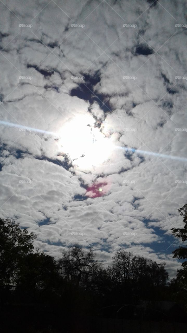 TNE NATURE SO BEUTIFULL