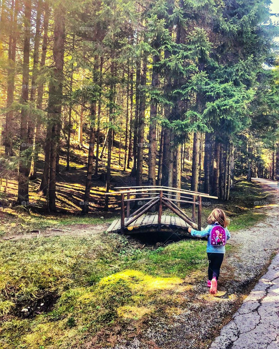 A walk in the forest