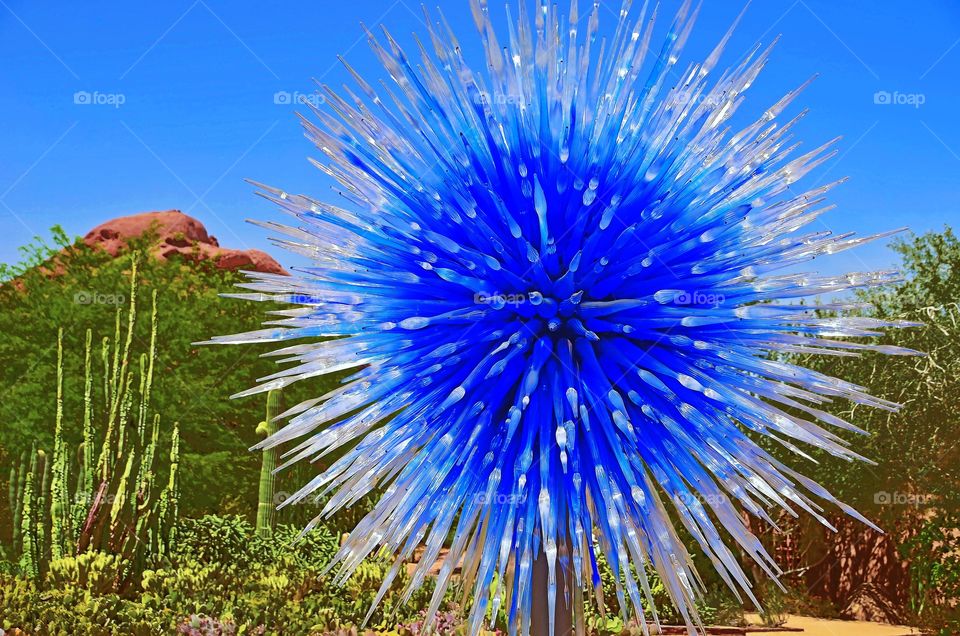 A giant glass sculpture in the desert at Phoenix, Arizona, USA.