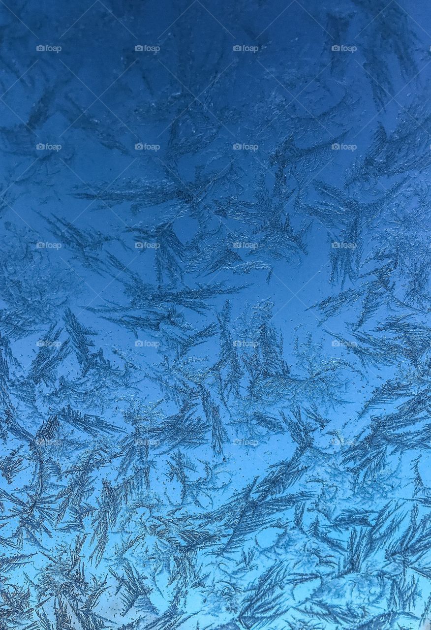 Ice taken in macro on my windshield one morning