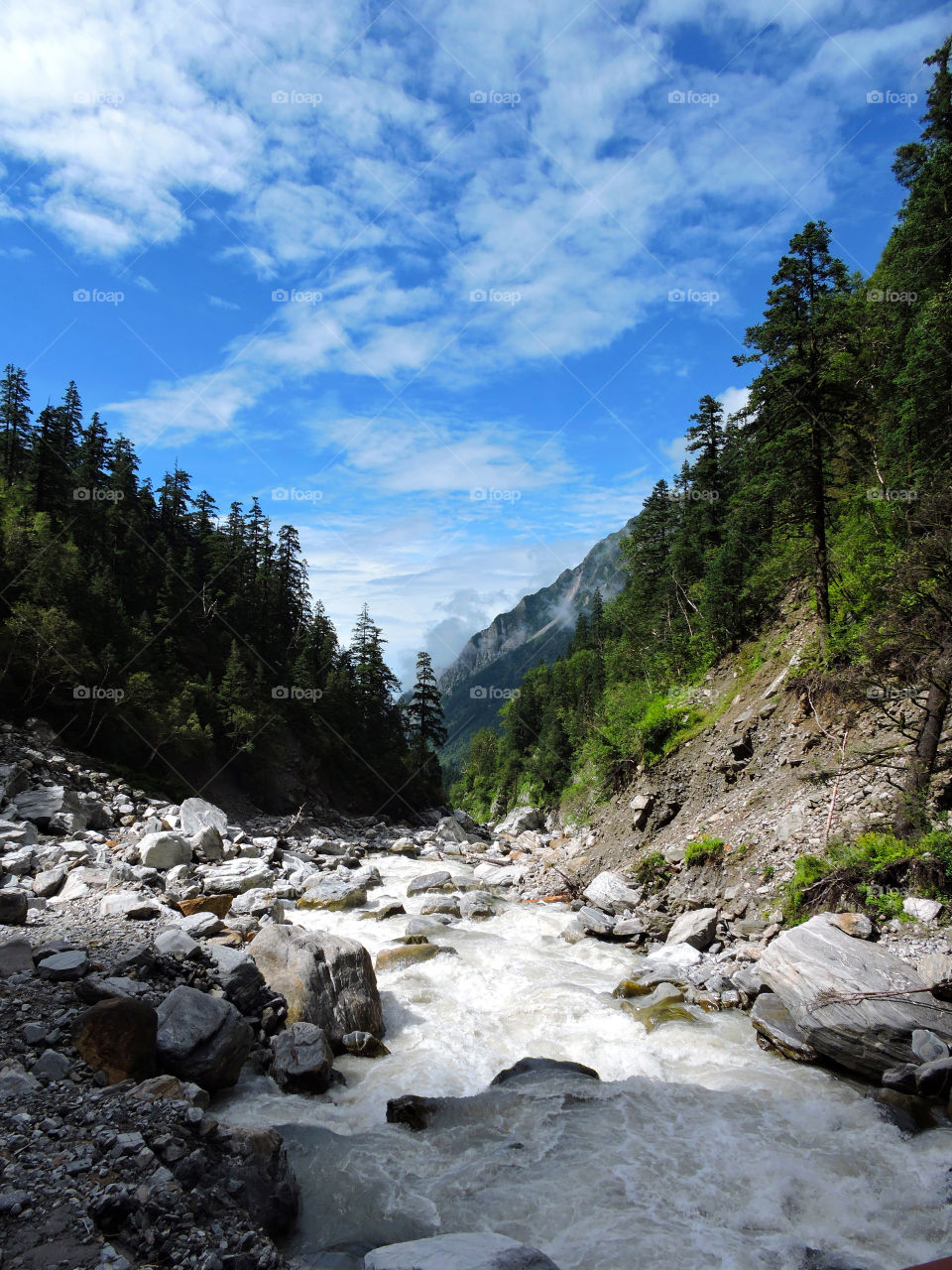 Valley of Flowers