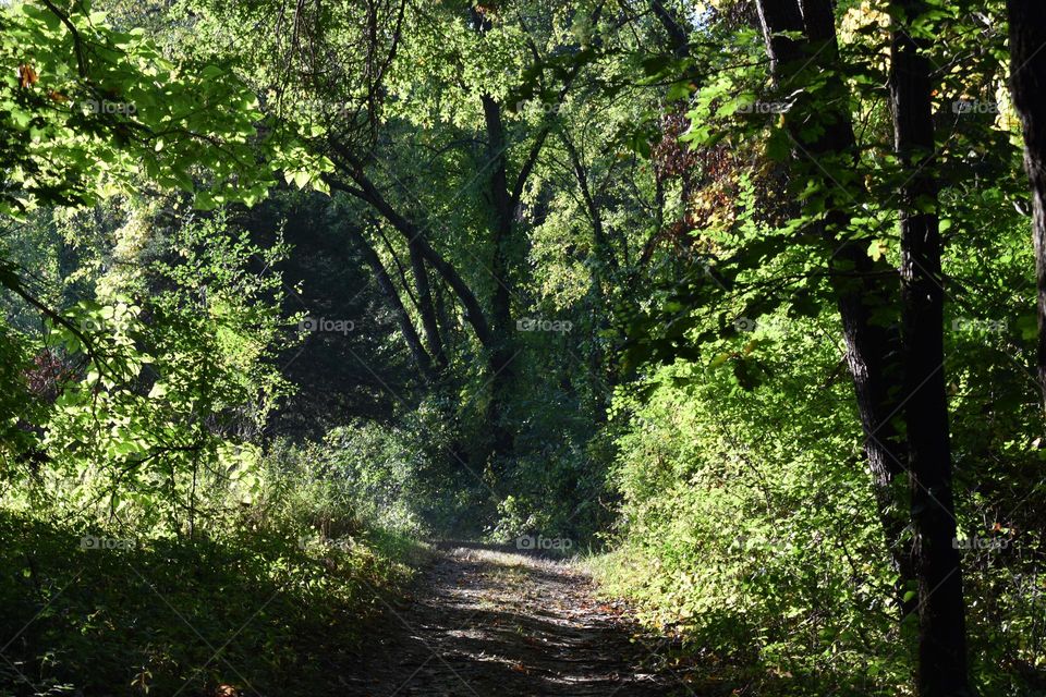 A dirt path in the country