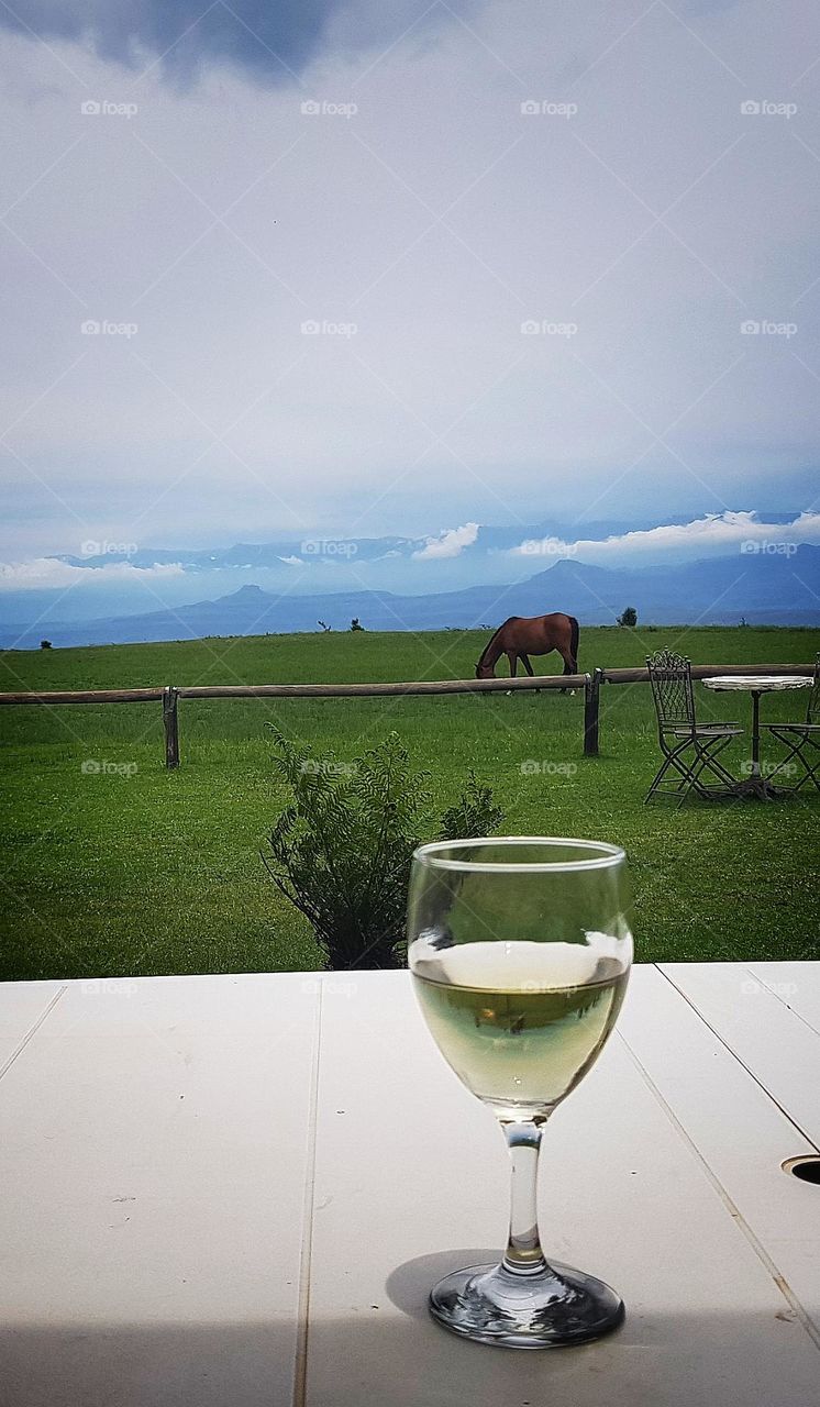 Wine in the mountains and a horse. a great day 👍