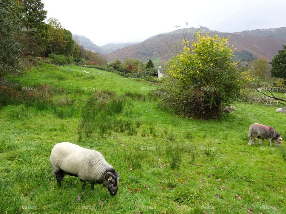 Cumbria