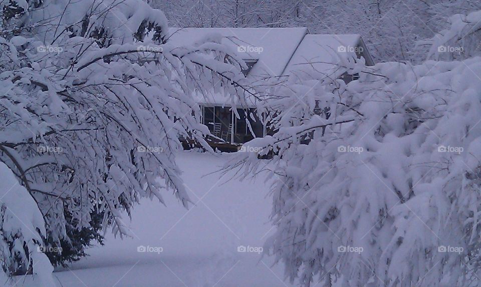 snowed in. a house in the snow