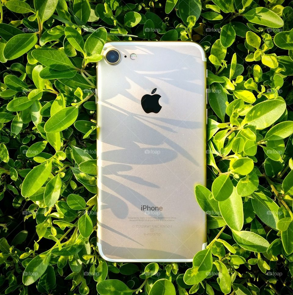 " iphone 7s " ❤️
#apple #iphone #iphone7 #iphone7s #appleproduct #phone