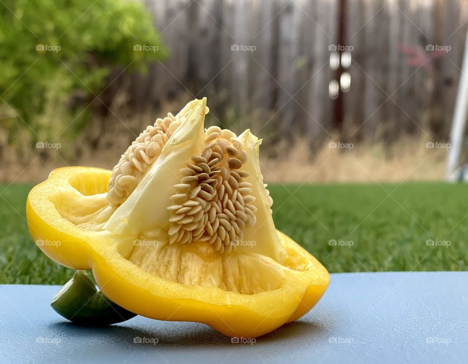 A bell pepper reveals its seeds during a summer sunset