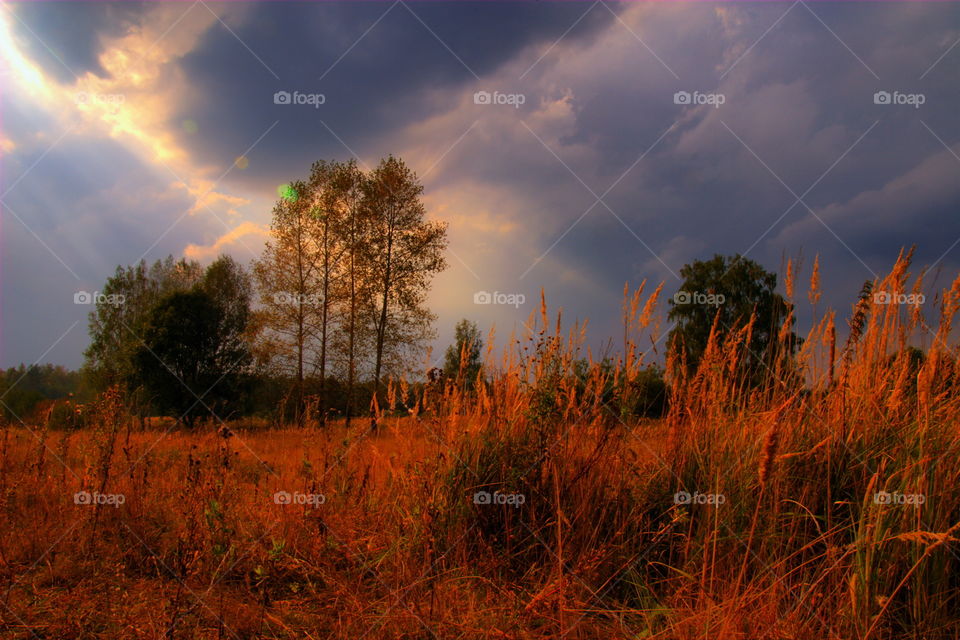 Fantastic cloudy sky over autumn field 