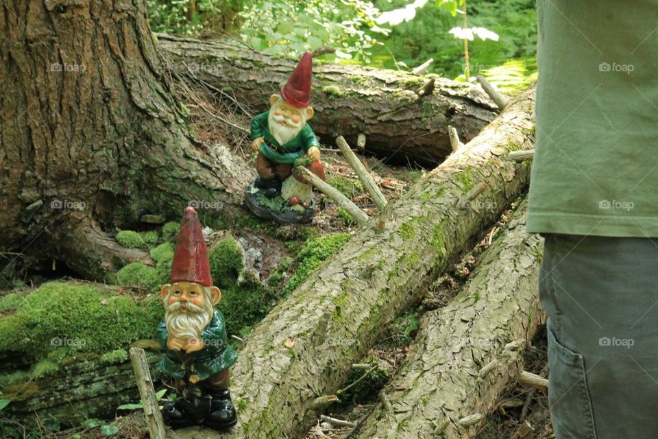 Gnome on trail