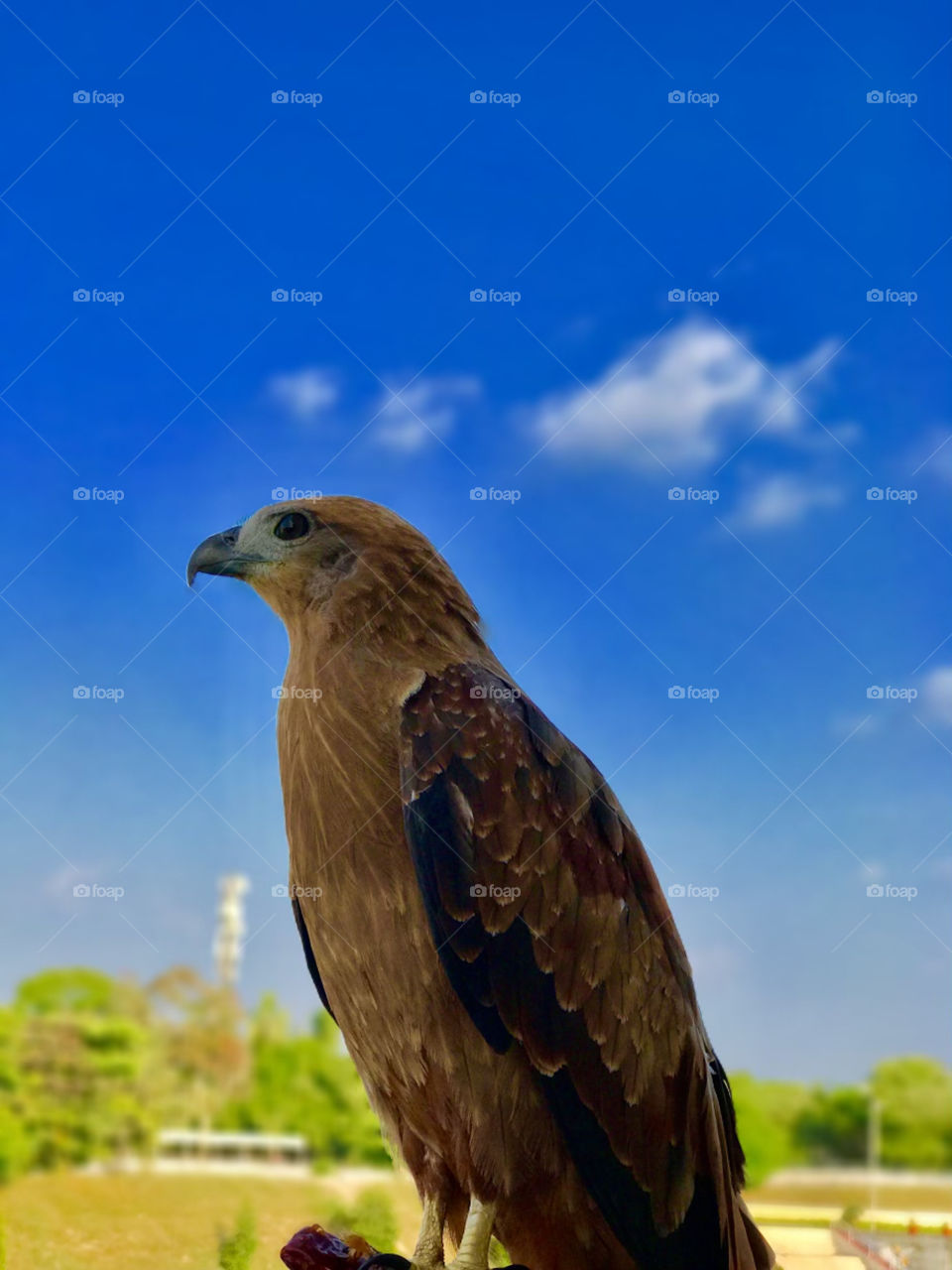 The beauty of creation