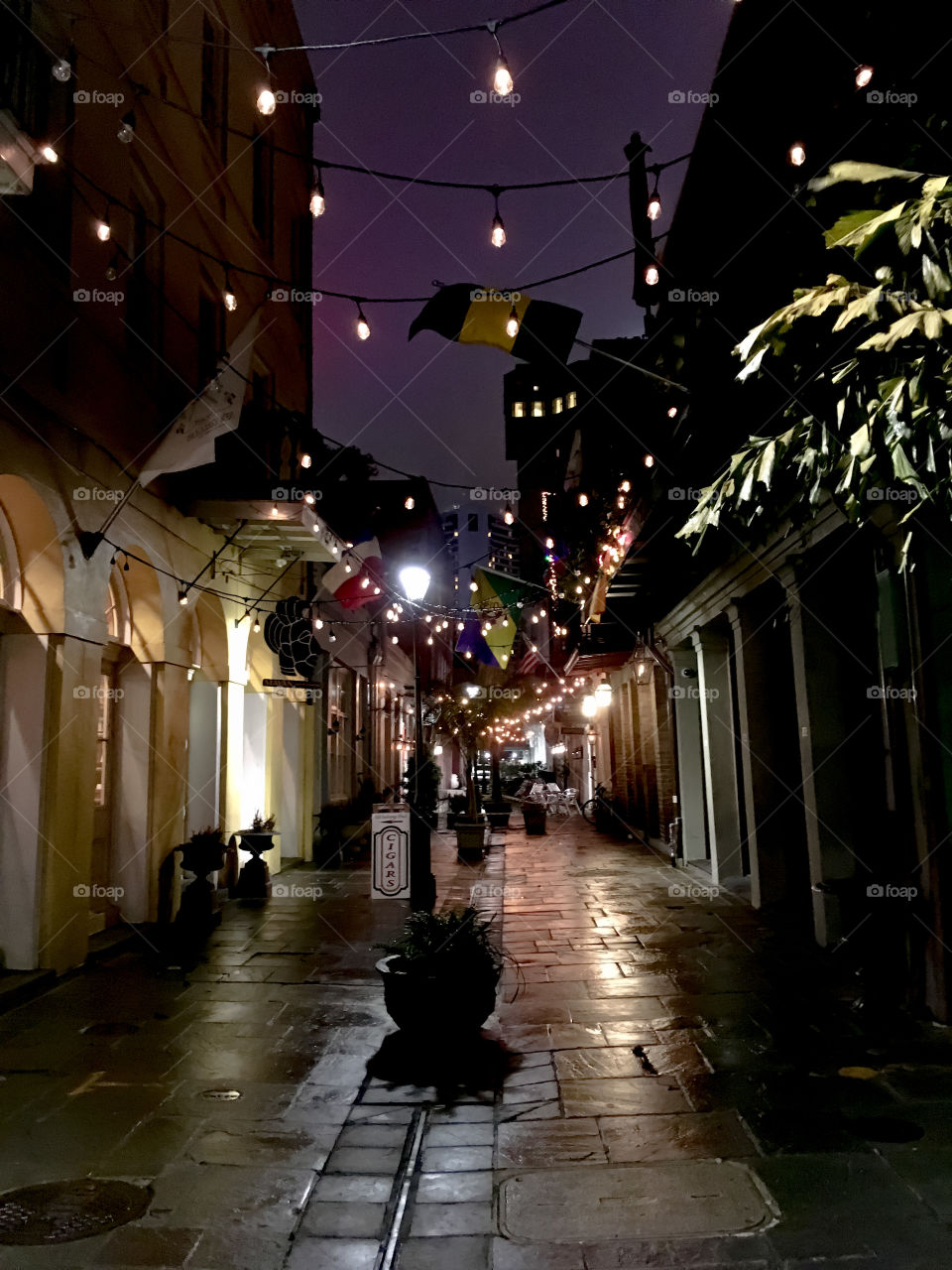 Wet New Orleans night