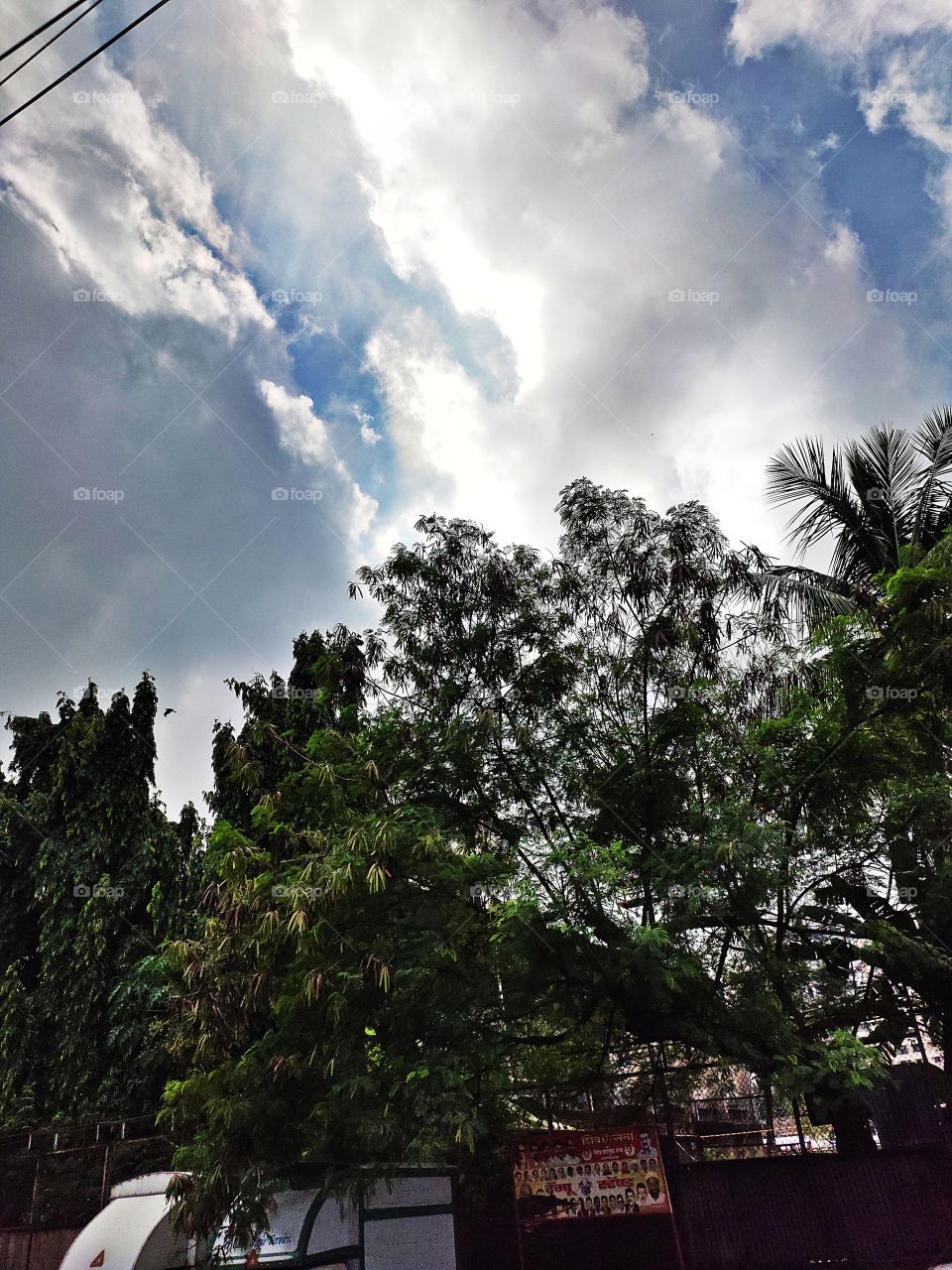 Rainy Weather ☔
👁️👁️📷👁️
Black ☁️ Clouds
Natural Beauty of Flora🍀🌿🌱