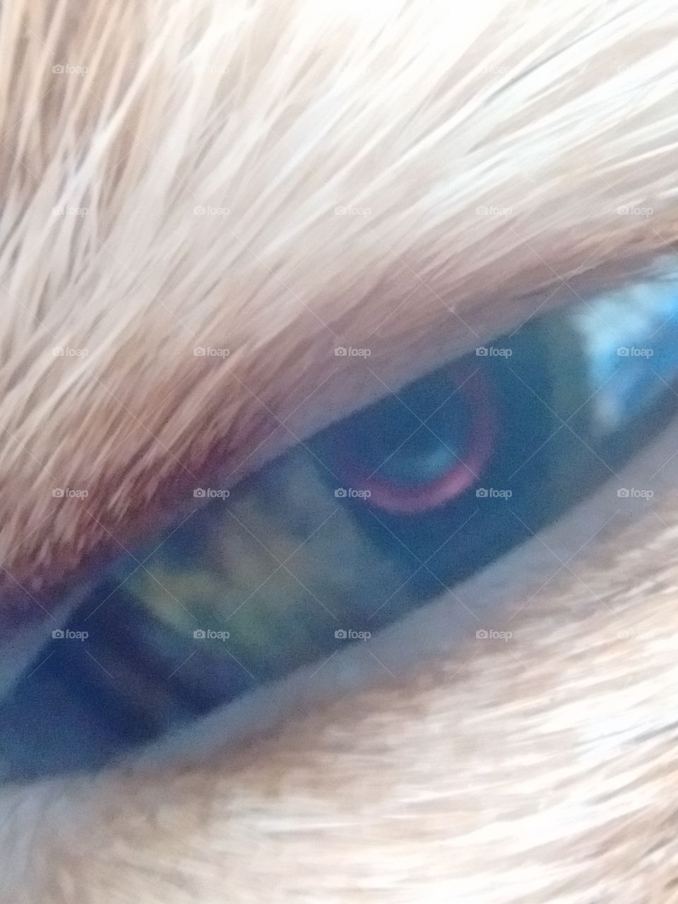 axl's eye reflecting camera lens