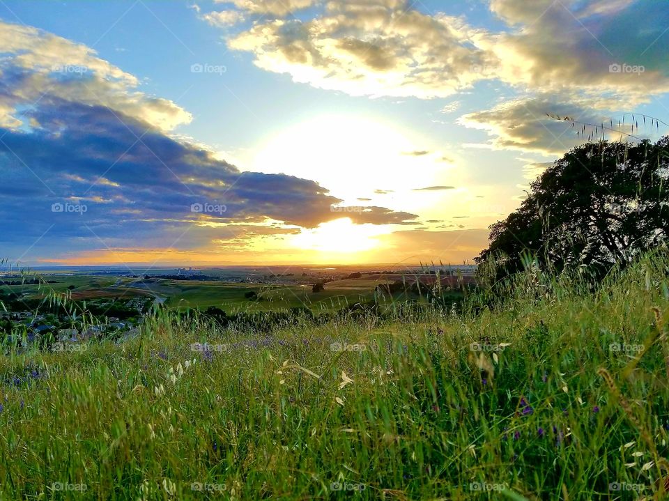 golden hour sunset