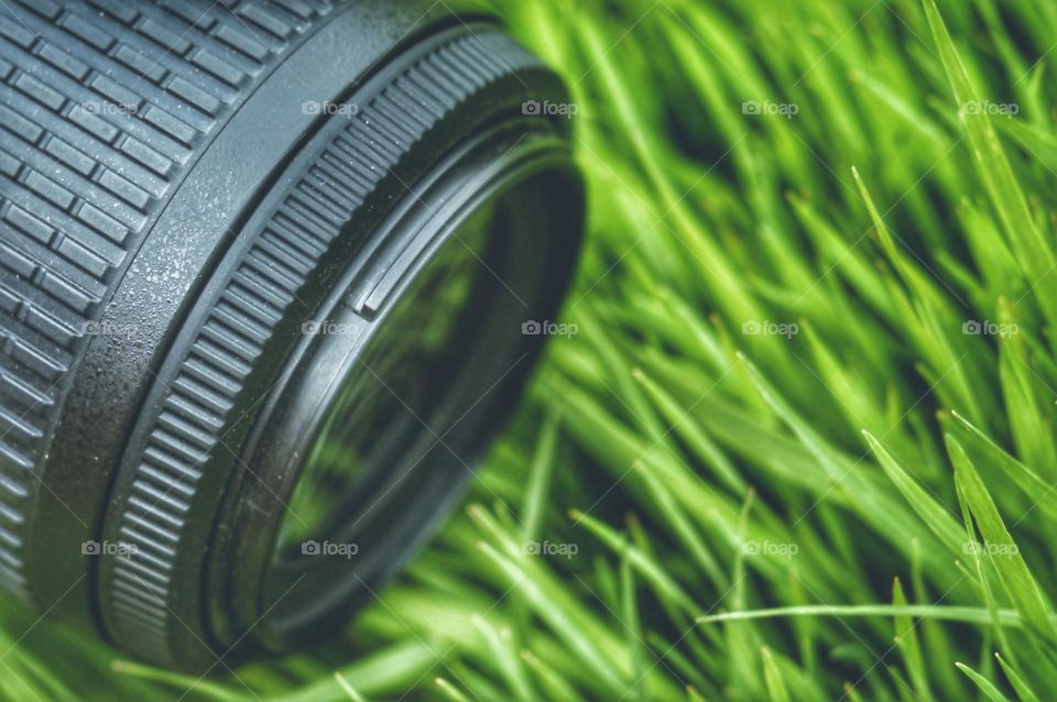 the camera lens brings something closer to the green grass