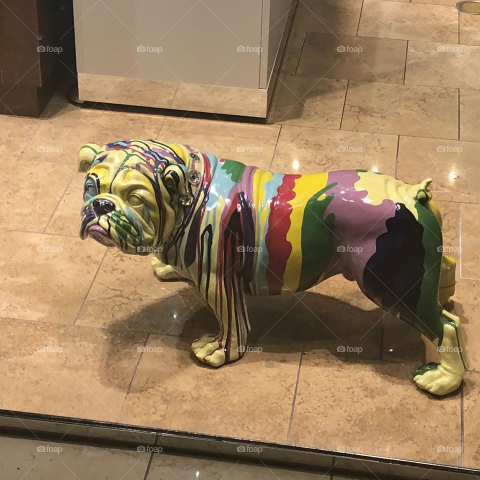 This bulldog is a piece of art so colourful 