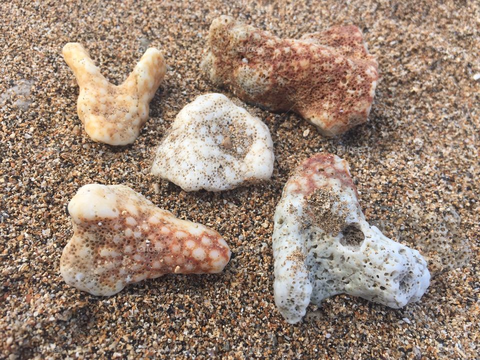 Variety of beach rocks in Maui