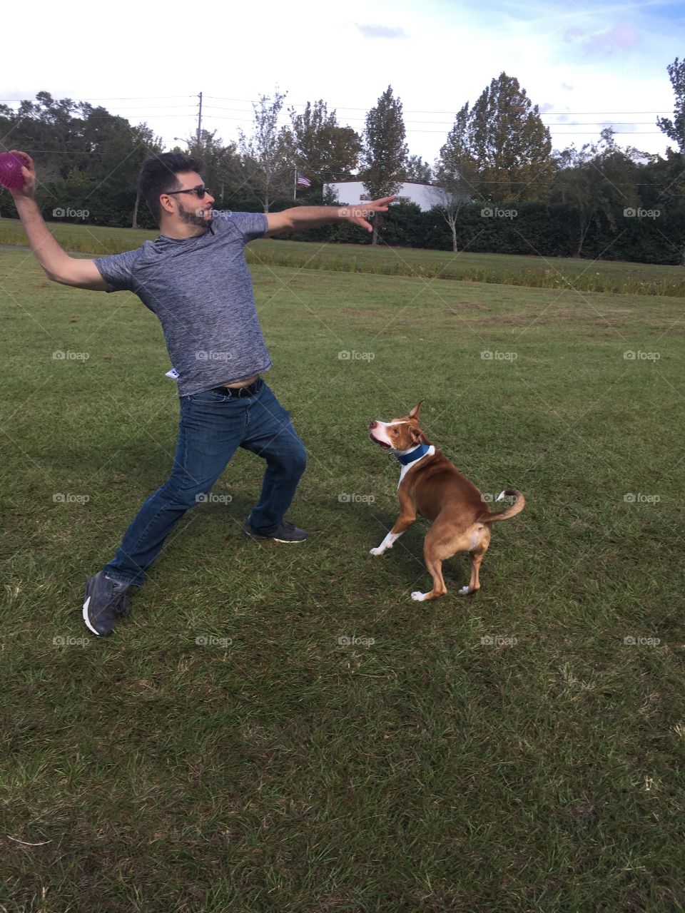 Outside playing ball with our rescue pitbull Stinky 