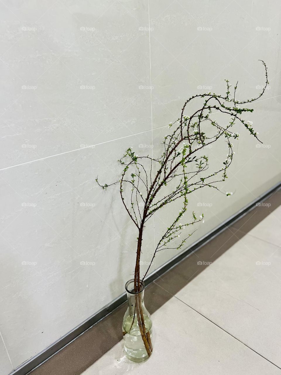 Elegant lines with transparent vase 