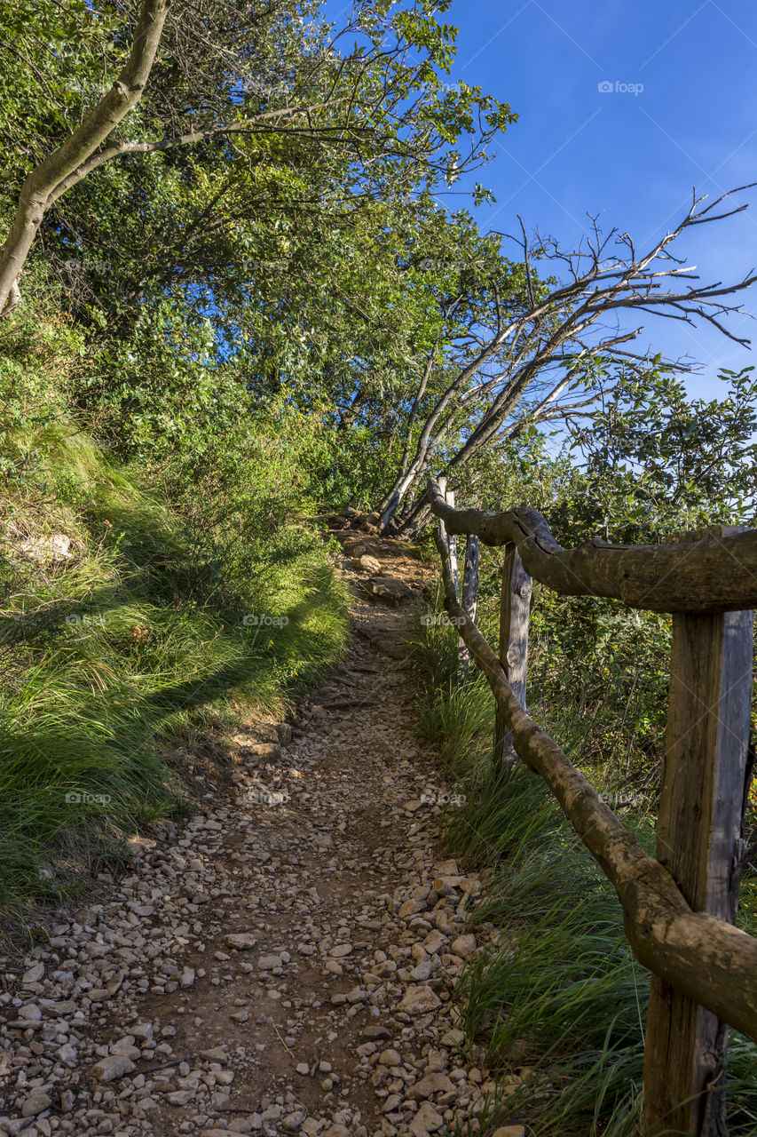 Walking on a path in the woods around the "Rocca di Manerba", lake Garda, Italy.