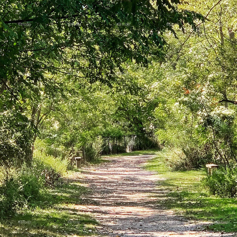 First walkway. Amico Island state park in NJ