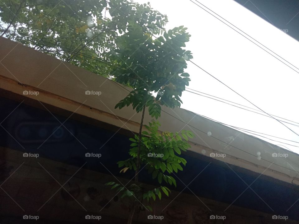 Is there a twist for this photo here...???🤔🙈