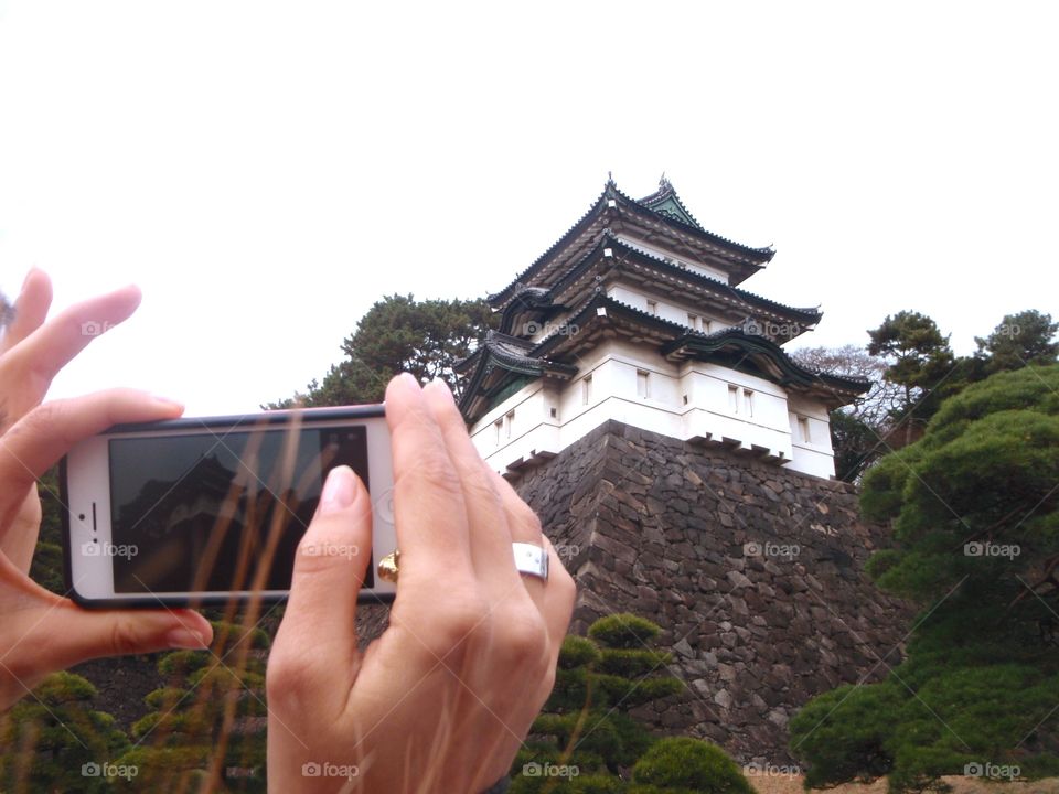 photographers in action 