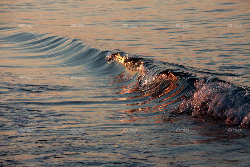 Wave breaking gently on the ocean shore