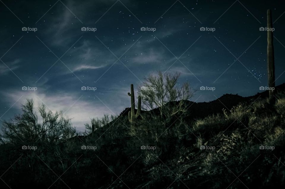 Starry night in the desert