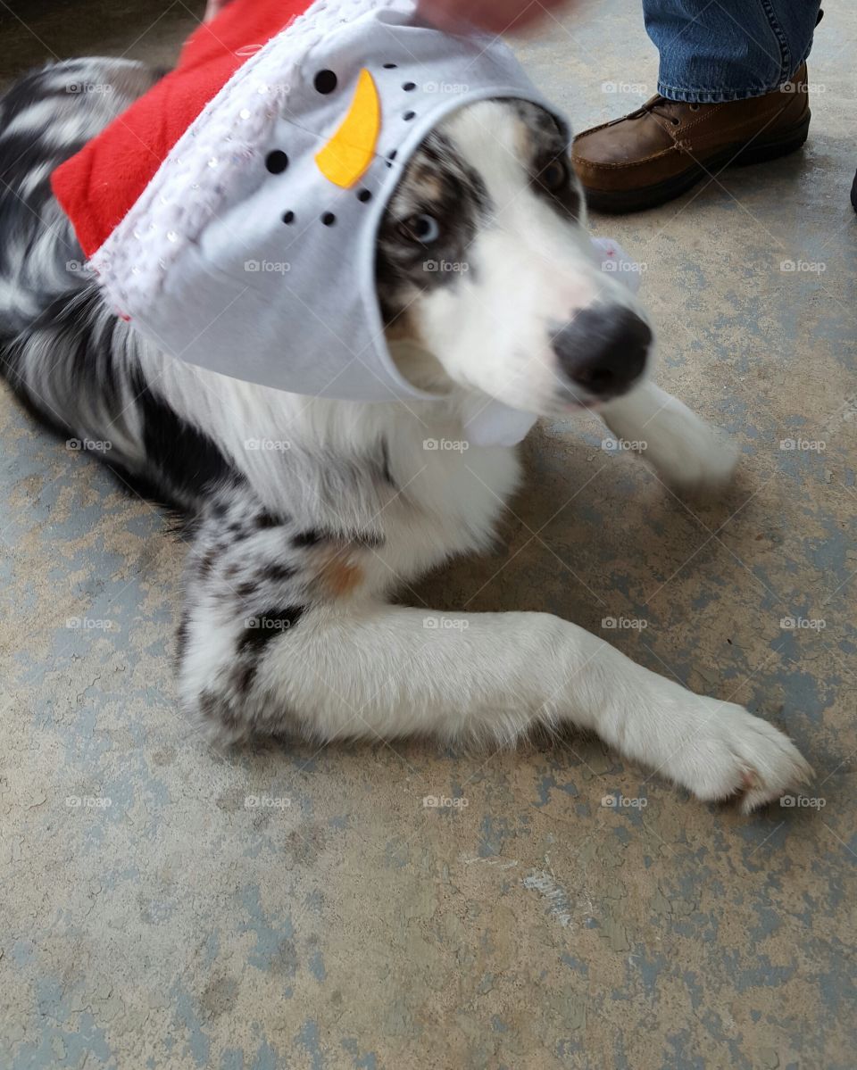 I don't like this hat