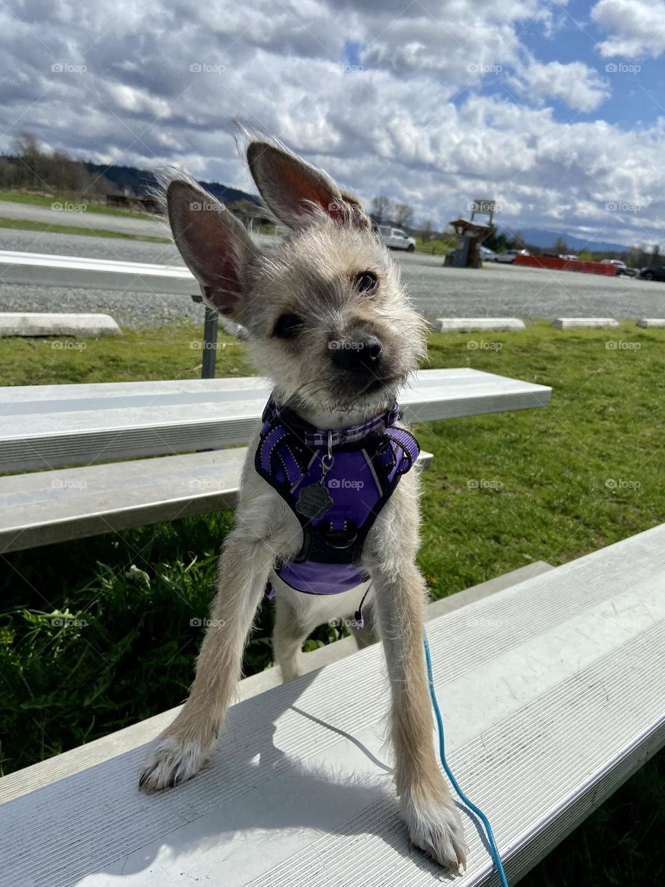 Day at the park- resting on the bleachers