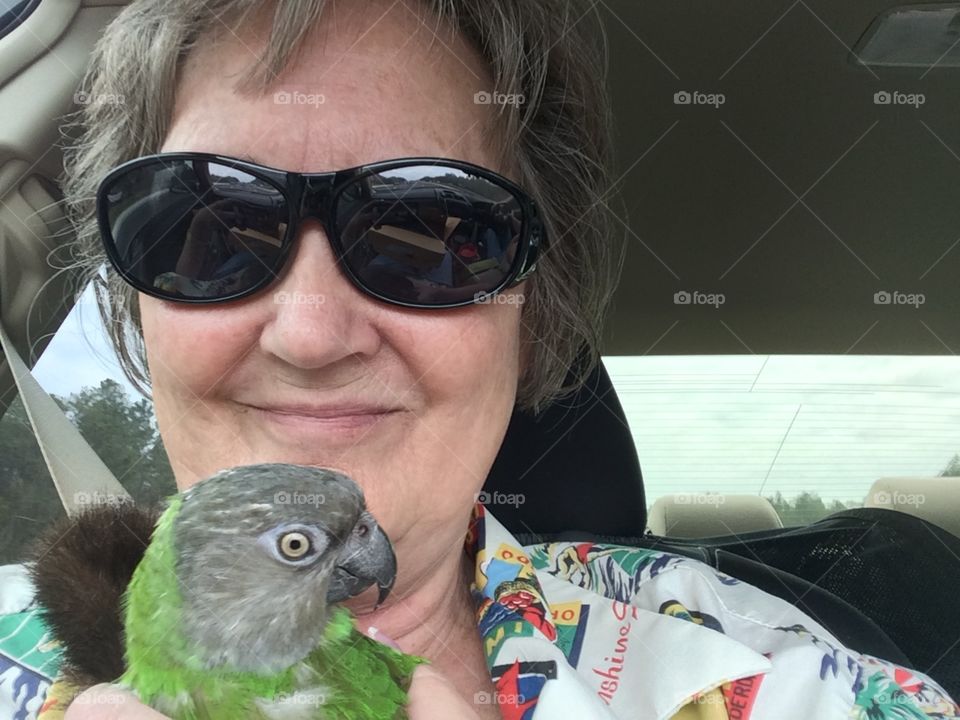 Had Cataract surgery day before we left for Jax. 6 cats in the back seat, and a angry parrot!