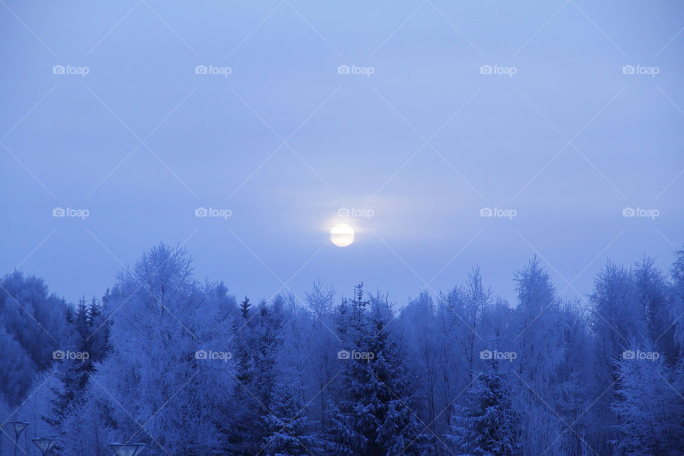 nannestad snow blue sun by Stianphoto