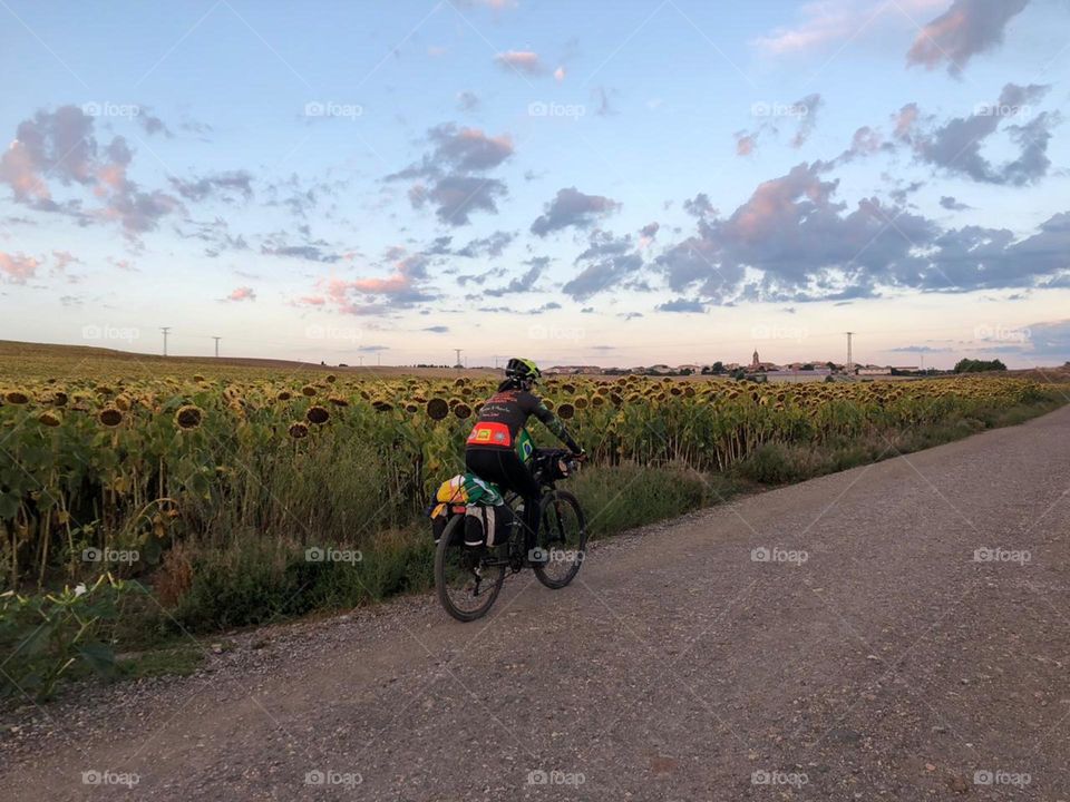 Caminho de Santiago de Compostela 