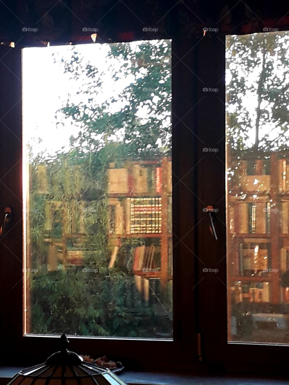 garden  seen throug the window with a reflection  of library in the glass