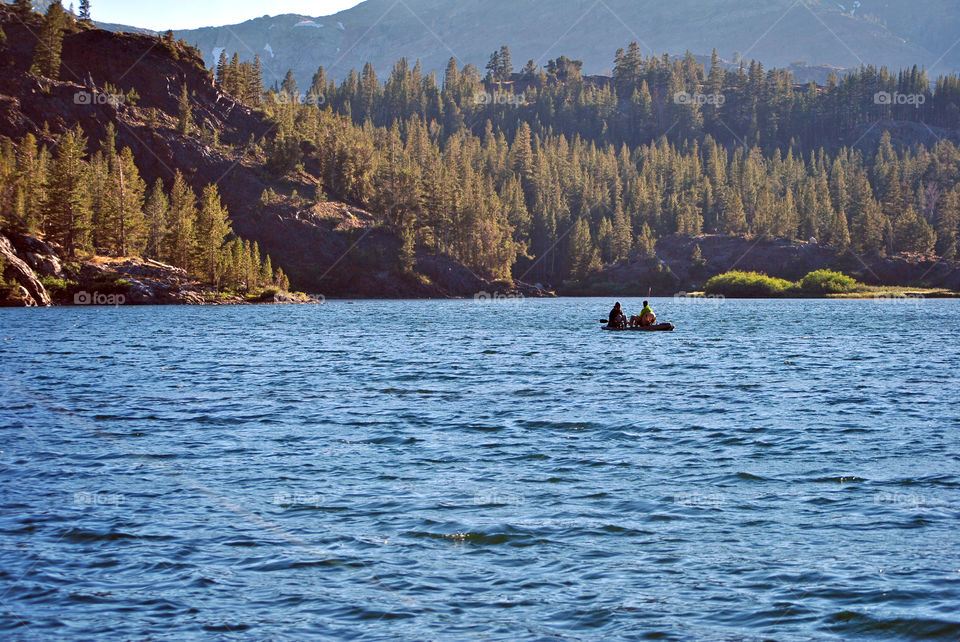 Lake in summer